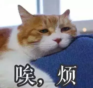 耳朵上的健康開關,每天5分鐘,揉一揉,祛疾病!