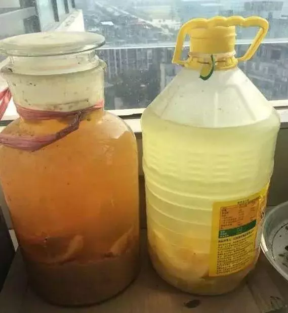 「3種水」用來澆花，比「肥料」有營養，花盆裡澆1點，枝葉茂盛！