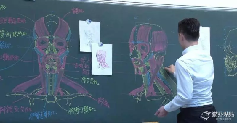 台灣帥講師把黑板當畫布 手繪超精緻「人體透視圖」強大到讓你不想看3D人骨架