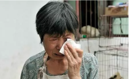 婆婆把財產全給我,卻要小姑子養老,我話還沒說完婆婆就痛哭流涕