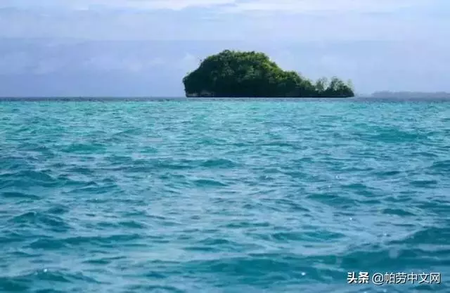 給你20個理由,這一生必去次帛琉!