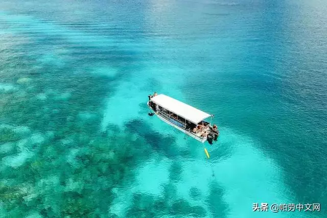 給你20個理由,這一生必去次帛琉!