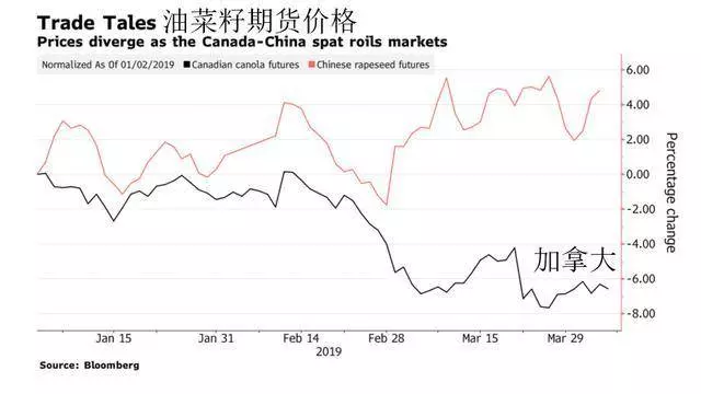 加拿大要被踢出局了?中國將投資5至6億元「擴種」中國產油菜籽!