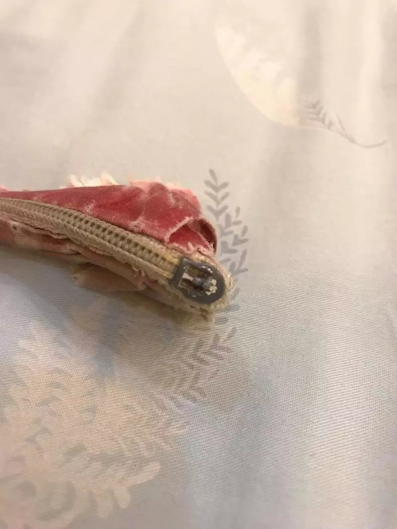 陪伴妹妹22年的寶貝竟變成謎樣生物,一路「吃」到現在已經讓人猜不透原形!網友:吃了22年真是物超所值!