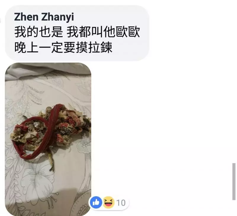 陪伴妹妹22年的寶貝竟變成謎樣生物,一路「吃」到現在已經讓人猜不透原形!網友:吃了22年真是物超所值!