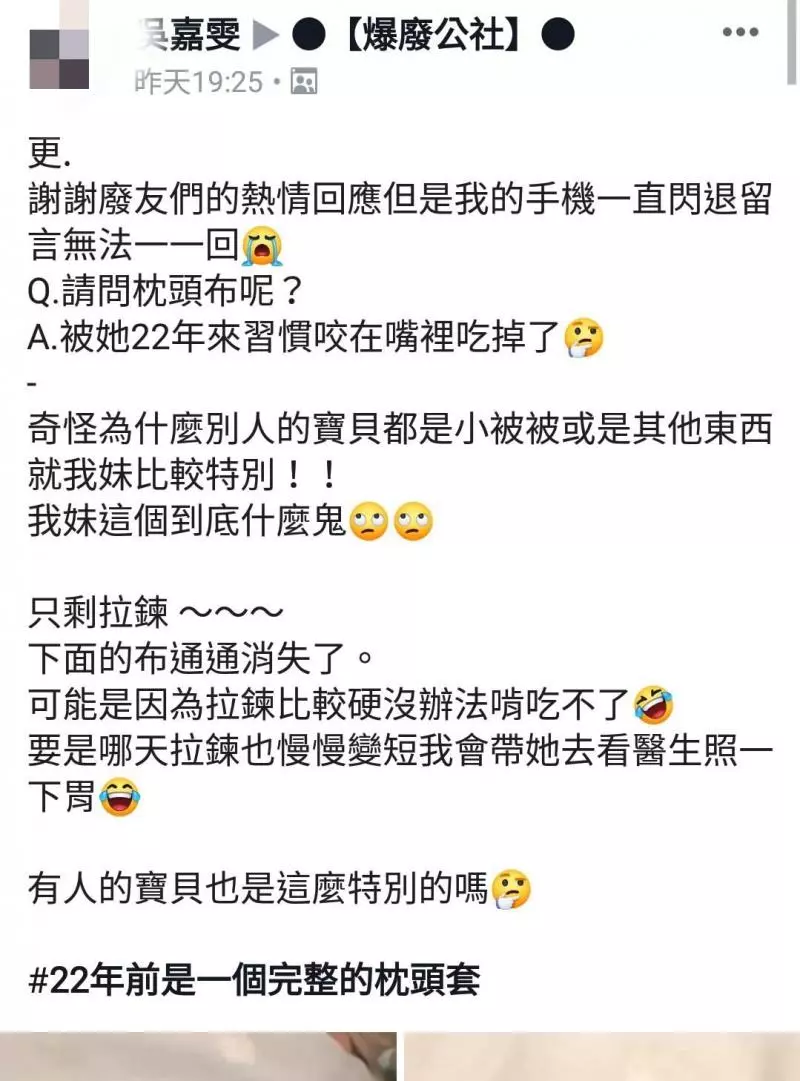 陪伴妹妹22年的寶貝竟變成謎樣生物,一路「吃」到現在已經讓人猜不透原形!網友:吃了22年真是物超所值!