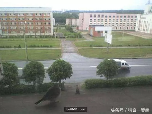 11張因為光影和角度問題而拍出來變得超不符合邏輯的照片!