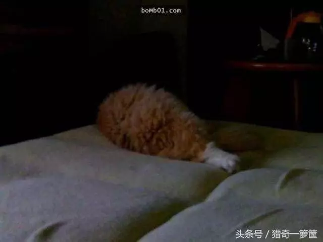 11張因為光影和角度問題而拍出來變得超不符合邏輯的照片!