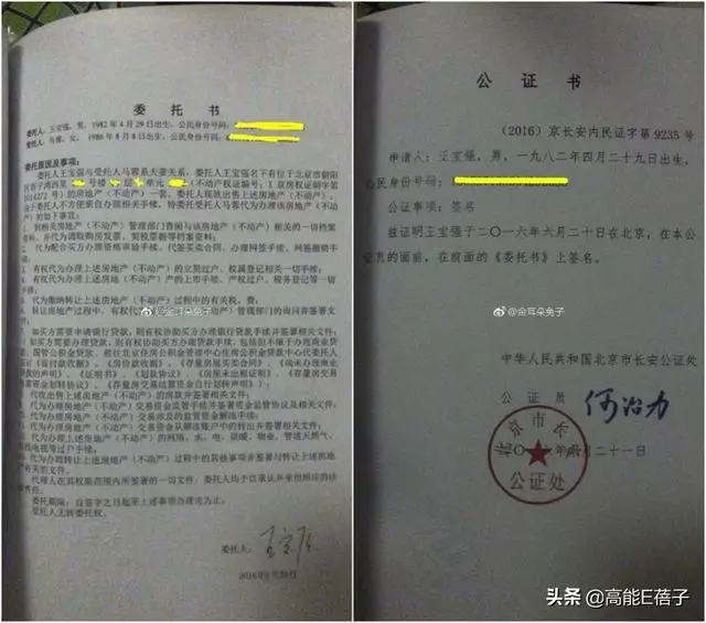 馬蓉自曝財產分割協議,開腔嘲諷王寶強:沒有他地球都不轉了!