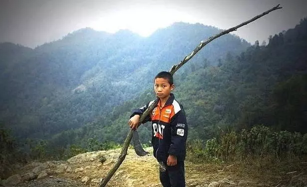 孫子滿月,農村奶奶帶石榴去探望被親家嫌棄,一家人吃石榴時愣了