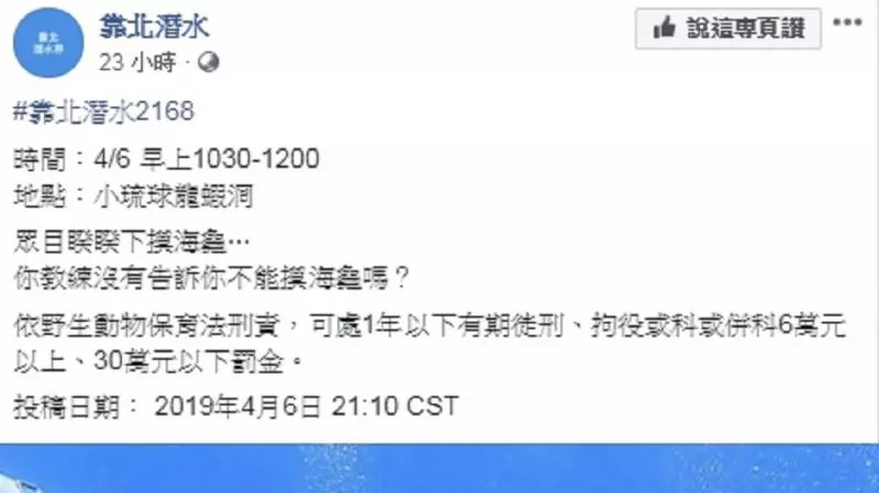 一張照片罰30萬!潛水男爽摸海龜 網:關他......