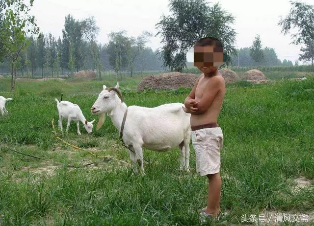 9歲男孩帶妹妹玩耍,遇見老奶奶問路,亂指一個方向卻救了妹妹命
