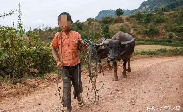 農村母親城裡打工,每月給兒子寄錢,孩子高考後才知媽媽早已去世