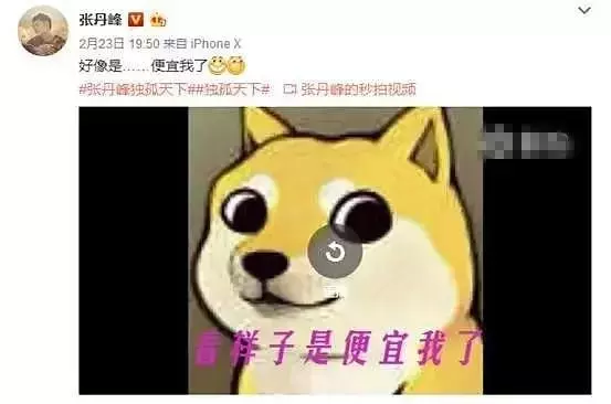 洪欣人財兩空?被李嘉欣罵蠢女人,莫少聰曾發飆拒認兒子姓張!