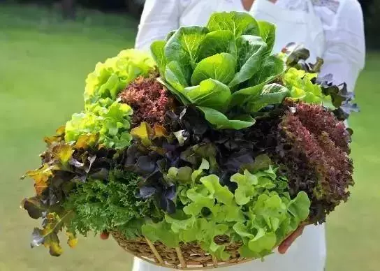 20歲小伙便血入院,查出直腸癌,醫生:這種「息肉」小心癌變