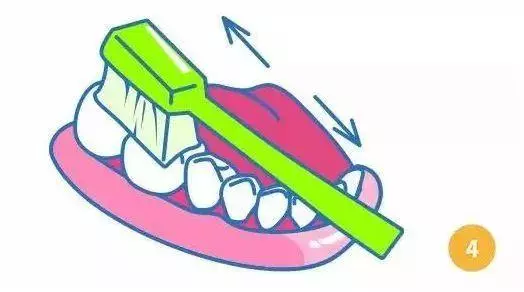 晚上不刷牙,你可能不知道後果很嚴重 - 壹讀