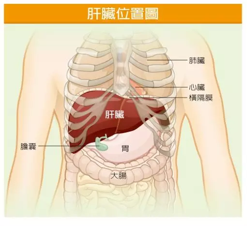 小心肝、快篩! 台灣竟有五大C肝村