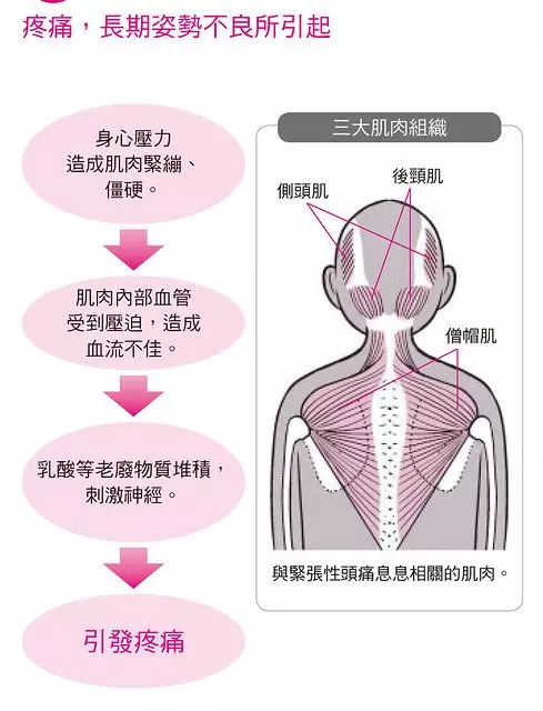 超簡單耳朵保健4方略!耳穴按摩減緩頭痛暈眩又治耳鳴