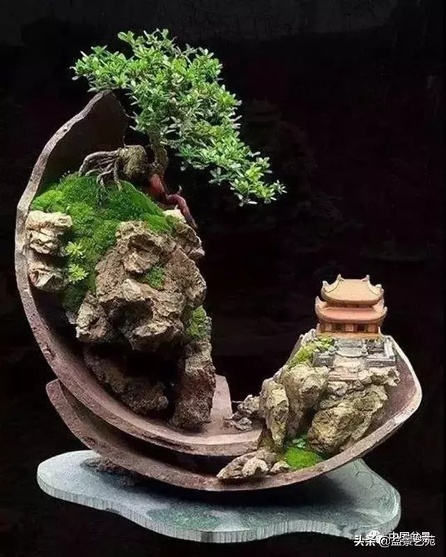 突出盆景個性的異形盆