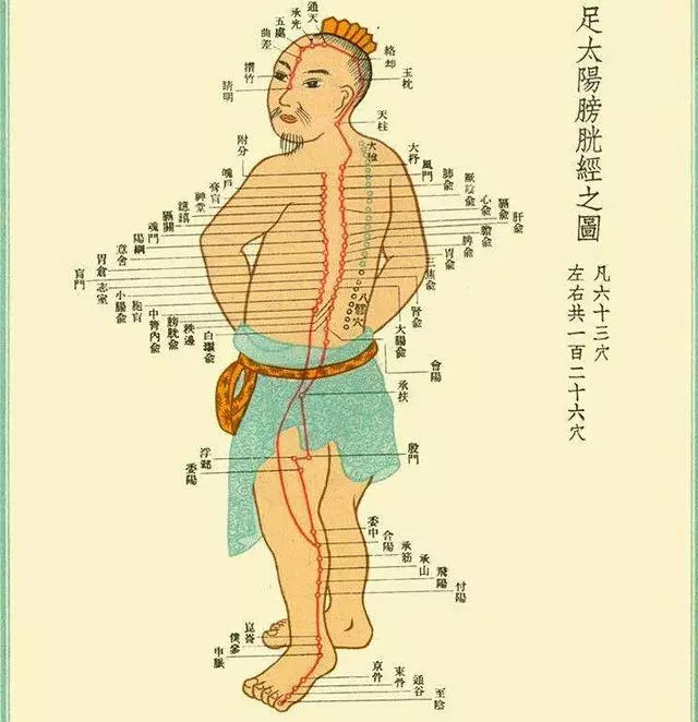 人體的最大排毒、排濕通道――膀胱經,它的9大功效,你可知道?