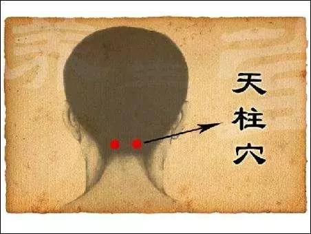 人體的最大排毒、排濕通道――膀胱經,它的9大功效,你可知道?