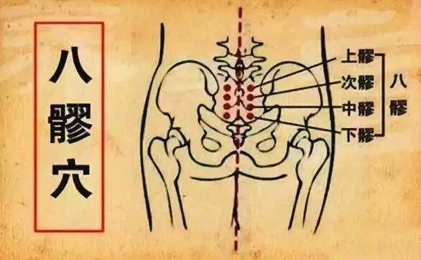 人體的最大排毒、排濕通道――膀胱經,它的9大功效,你可知道?