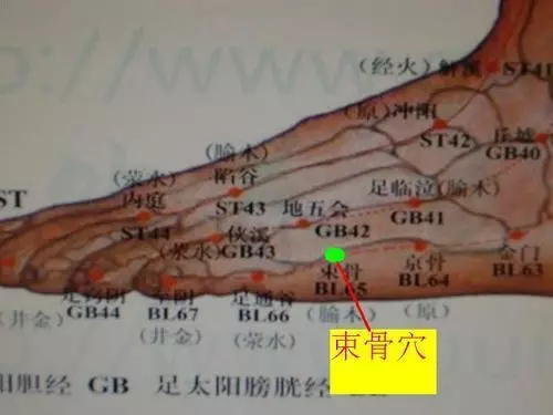 人體的最大排毒、排濕通道――膀胱經,它的9大功效,你可知道?