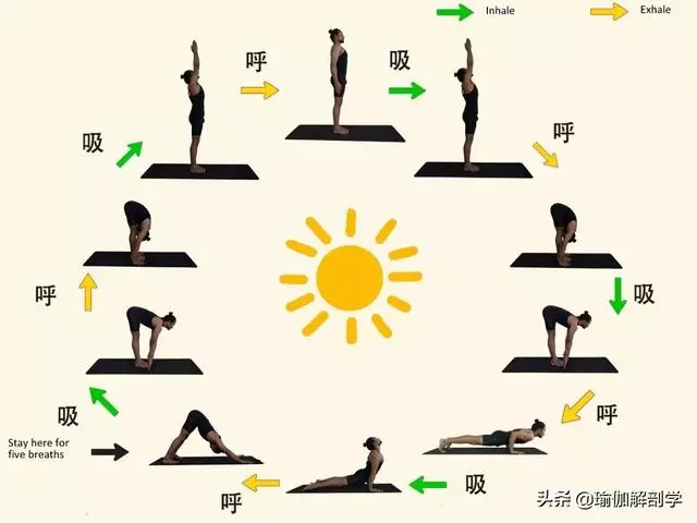 瑜伽老師說下犬式是休息,為什麼你卻越練越累?!