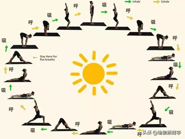 瑜伽老師說下犬式是休息,為什麼你卻越練越累?!