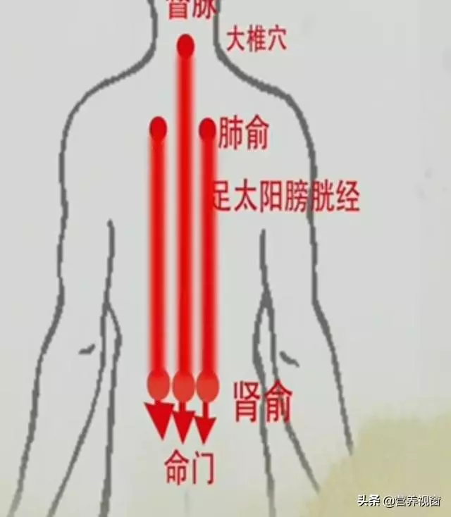 【手到病除刮痧治感冒】
