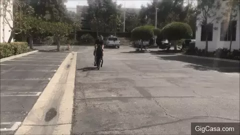 爆笑GIF趣圖:放開她,讓我來打好嗎?