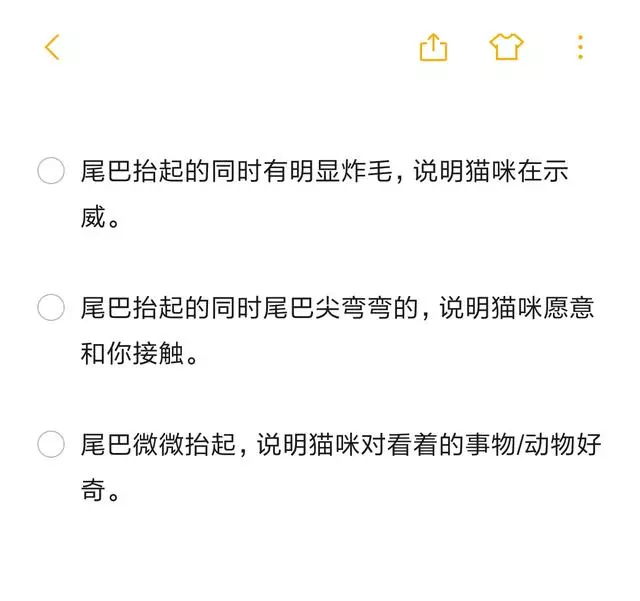 尾巴才是本體?貓咪與尾巴關係曝光,讓你輕易抓住貓咪的心!