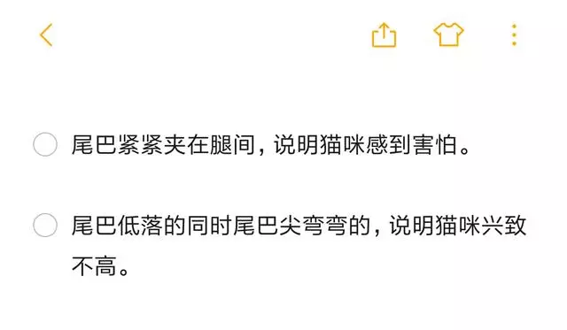 尾巴才是本體?貓咪與尾巴關係曝光,讓你輕易抓住貓咪的心!