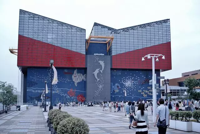 去日本,你一定要知道的,10個令人讚不絕口的水族館