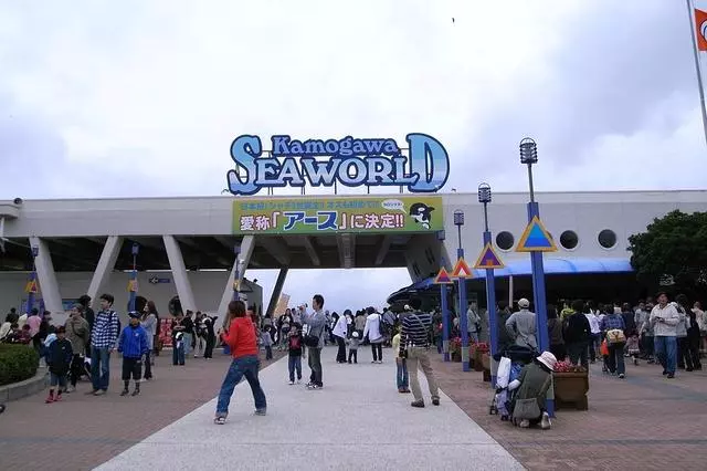 去日本,你一定要知道的,10個令人讚不絕口的水族館