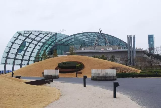 去日本,你一定要知道的,10個令人讚不絕口的水族館