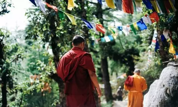 算命師說:這4個生肖的孩子,是家裡的「小福星」,旺家旺父母,天生的「財神爺」