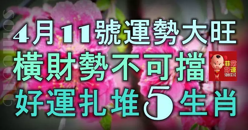 4月11號起運勢大旺,橫財勢不可擋,家中好運扎堆的5大生肖!
