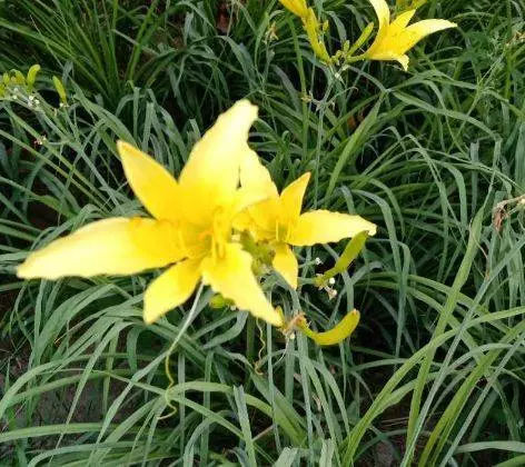 4月11號起運勢大旺,橫財勢不可擋,家中好運扎堆的5大生肖!