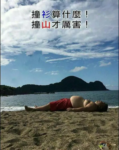 哥哥嫂子都是暴脾氣,兩人動不動就開火。