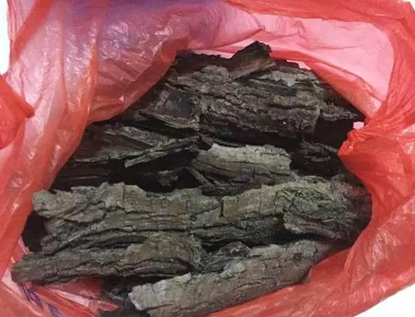 這種天然「生根劑」,不用買路邊一大堆,剪碎了用鍋蒸,養花好用