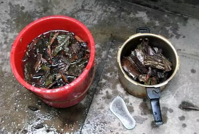 這種天然「生根劑」,不用買路邊一大堆,剪碎了用鍋蒸,養花好用