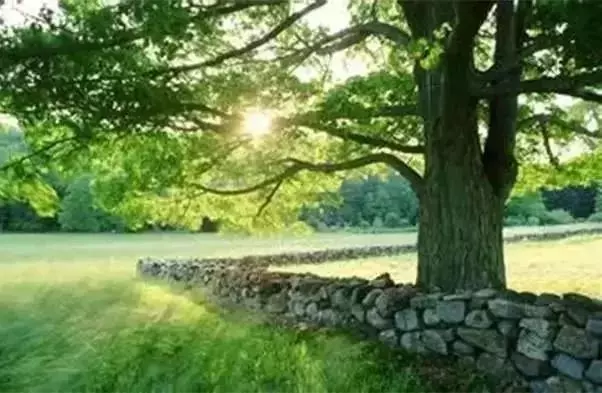 人,要有一顆乾淨的心