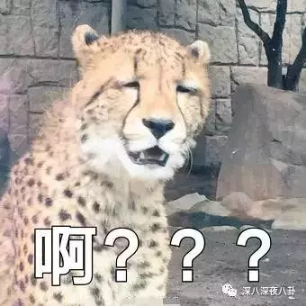 張丹峰出軌實錘,洪欣終於正面剛,但她還斗得過「女版宋喆」麼?