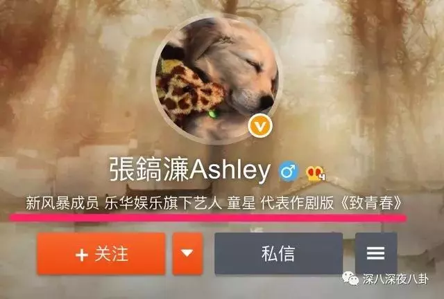 張丹峰出軌實錘,洪欣終於正面剛,但她還斗得過「女版宋喆」麼?