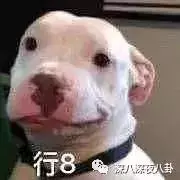 張丹峰出軌實錘,洪欣終於正面剛,但她還斗得過「女版宋喆」麼?