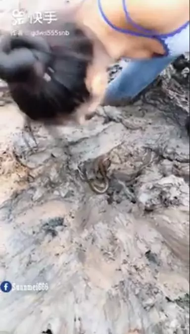 辣妹網紅徒手捕魚超敢穿!她「脖子紅領巾」竟被中國通緝抓去關...原因曝:玻璃碎光!