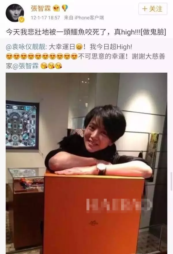 袁詠儀買包狂熱,張智霖束手無策,深扒袁詠儀到底擁有多少包包