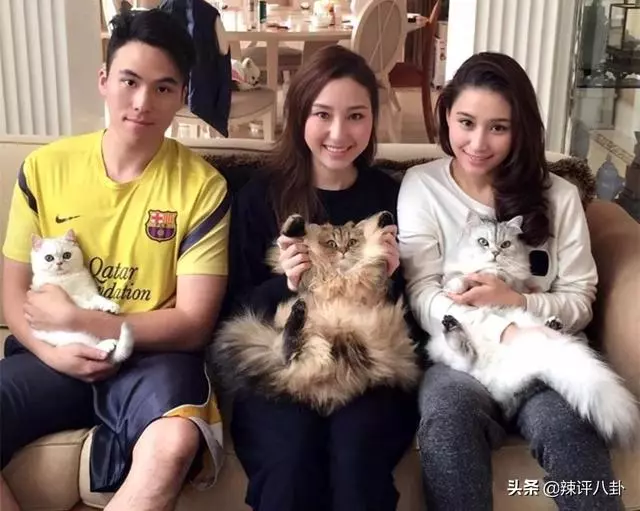 賭王三房兒子何猷啟,不愛明星豪門千金偏娶灰姑娘,引發婆媳大戰!