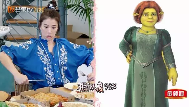 袁詠儀產前照曝光,不是圓肚子而是尖肚子,魔童出生時尿醫生一身!